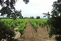 2012-06-06-07 - (60)